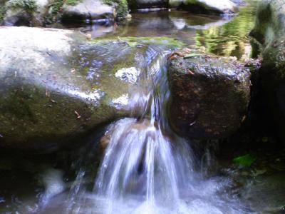 SKRAD Zeleni vir (The Green Whirlpool) - panoramio