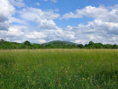A wide grassy meadow with wildflowers in the foreground, a line of trees in the midground, and a forested hill under a cloudy blue sky.