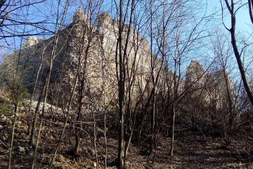 Orahovica