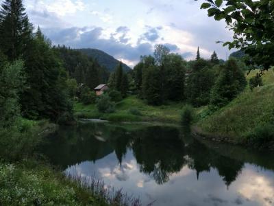 Stara Sušica