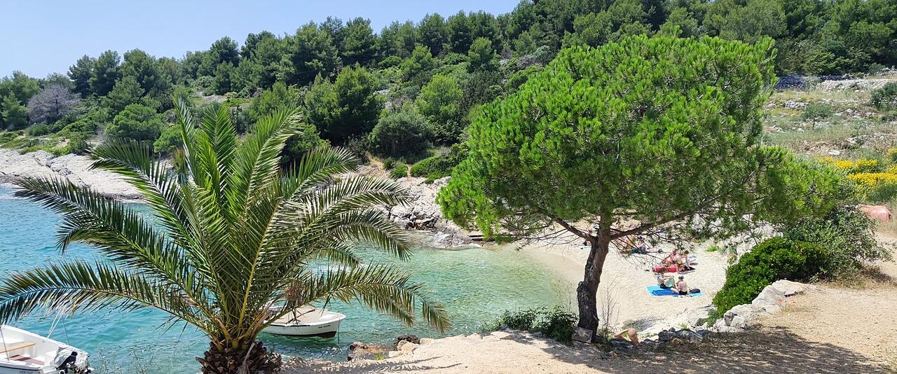 Tatinja cove at Karlobag with pine trees and turquoise water