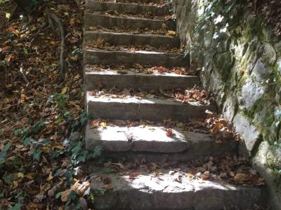 A set of weathered stone steps ascending through a wooded area, covered in fallen autumn leaves, with a stone retaining wall on the right and ivy-covered ground on the left.