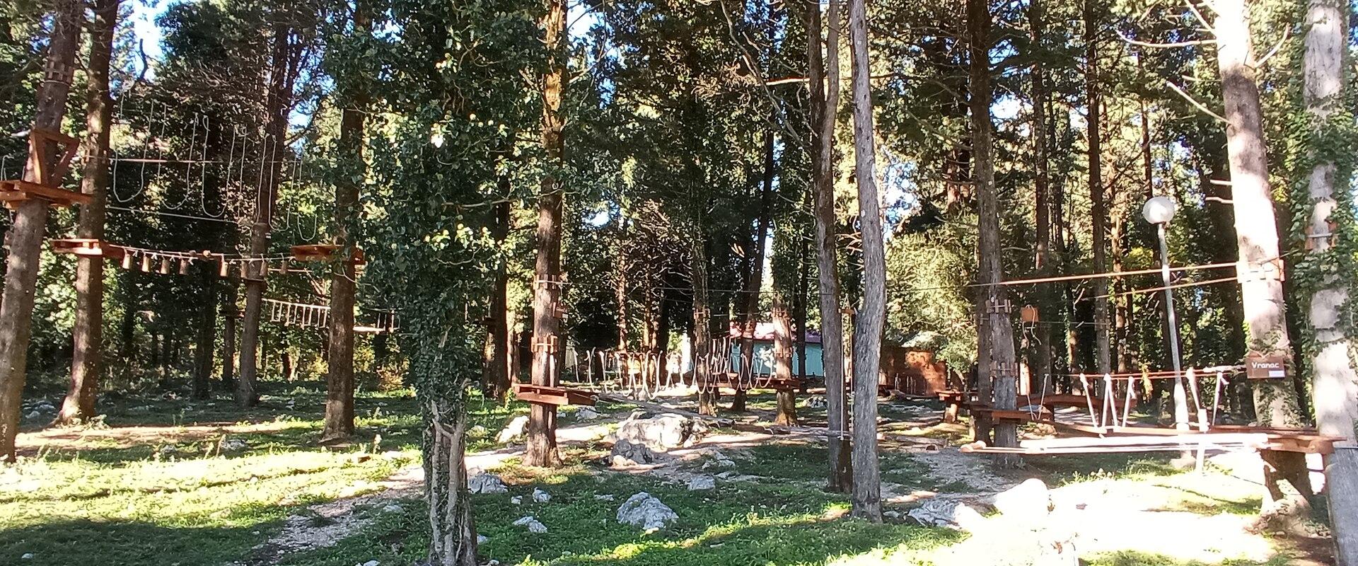 A wooded outdoor area featuring a high-ropes adventure course with wooden platforms, bridges, and cables strung between tall pine trees, with grassy ground and scattered rocks.