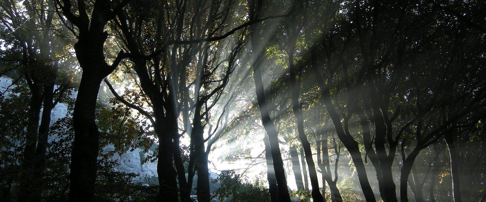 National Park Risnjak