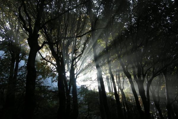 National Park Risnjak