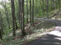 National Parks Tour