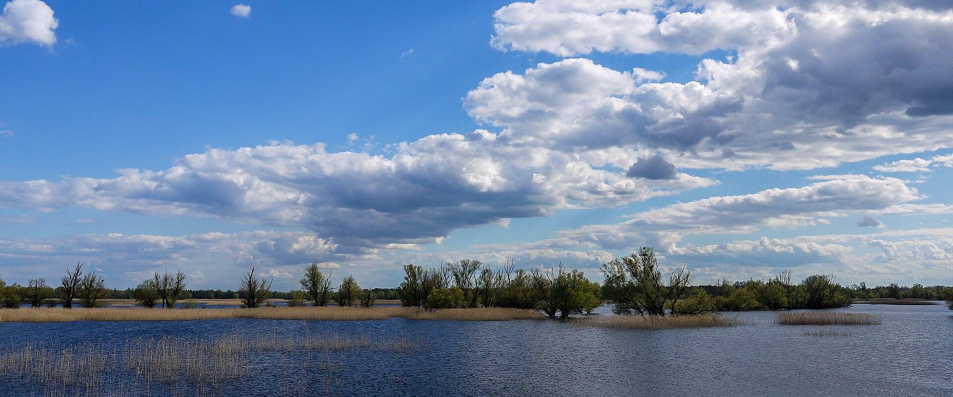 Kopačko Lake