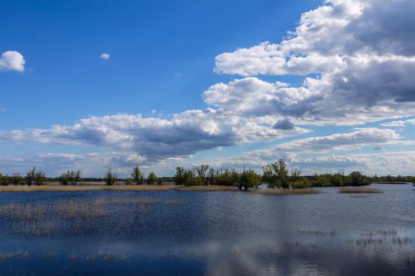 Kopačko Lake