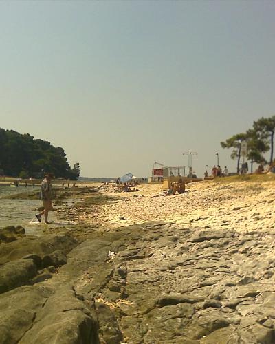 A rocky shoreline with a pebble beach, pine trees, and people relaxing under a clear sky, with a filename indicating "Općina Medulin, Croatia".