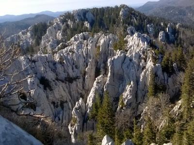 A high-angle view of jagged, light-colored limestone rock formations rising from a dense coniferous forest, with bare branches in the foreground and distant mountains in the background.