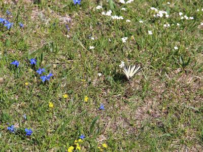 Nacionalni park Sjeverni Velebit 6