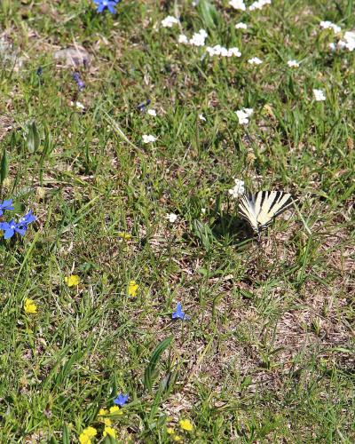 Nacionalni park Sjeverni Velebit 6