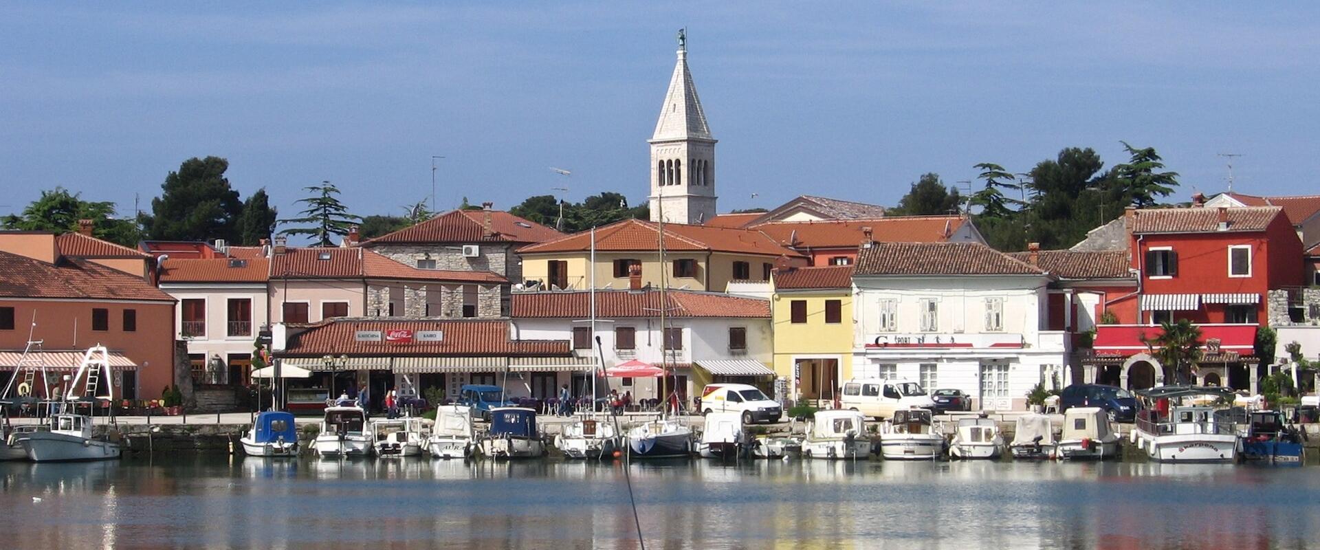Truffle Hunting in Istria
