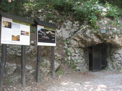 Lokvarka1
