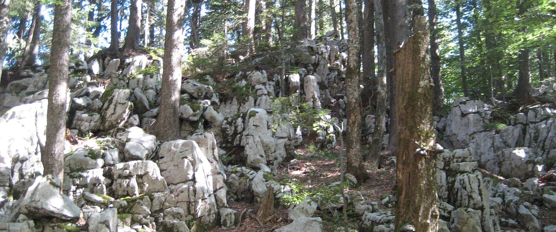 Golubinjak Forest Park