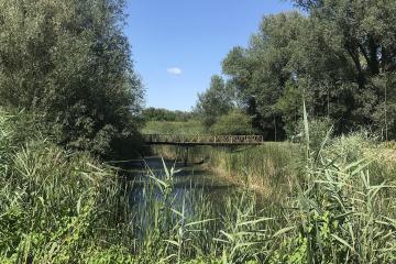 Kopački Rit Nature Park
