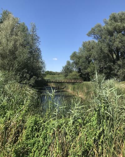 Kopački Rit, walking trail, Kopačevo, 2025 (8)