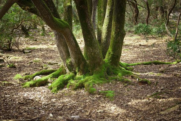 Brijuni National Park