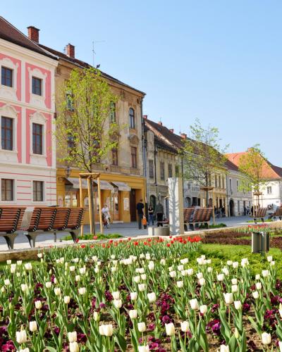 Pastel baroque facades and tulip beds on a square in Varaždin old town