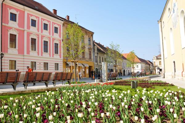 Picturesque Squares And Alleys Of Varaždin