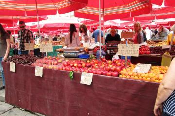 Food & Gastronomy in Samobor