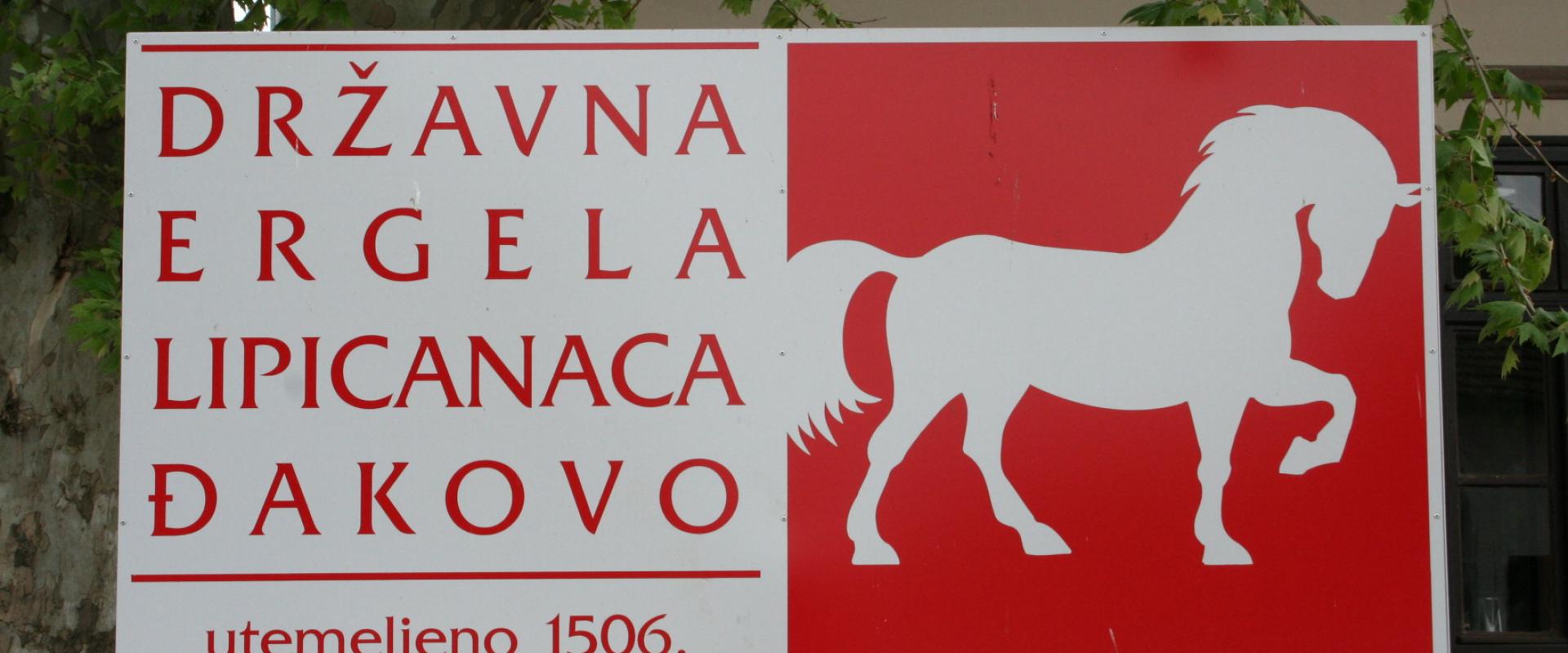 State Stud Farms Đakovo