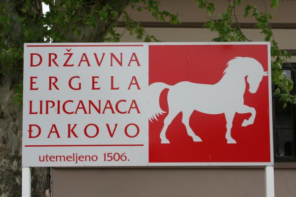 State Stud Farms Đakovo