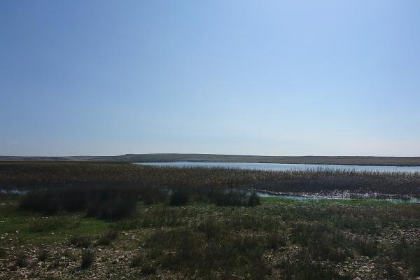 Velo Blato