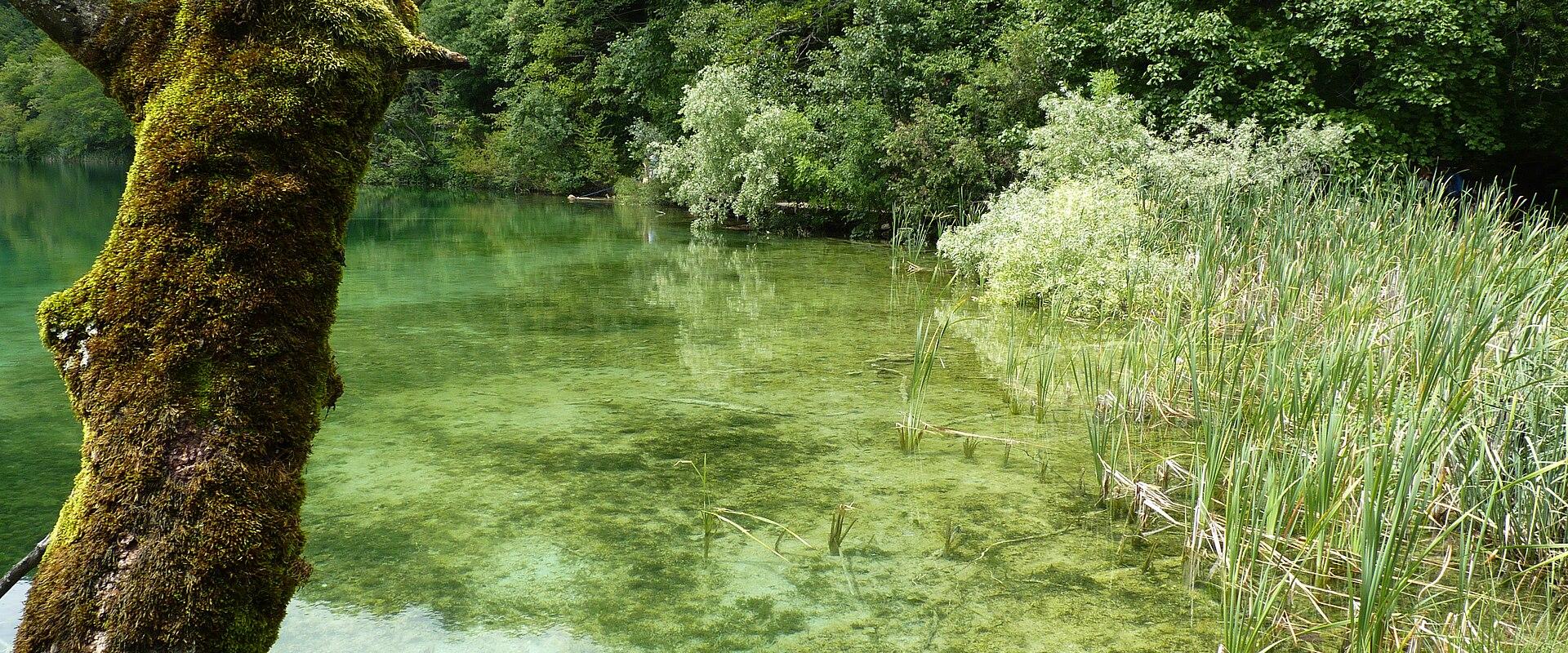 The Plitvice Lakes