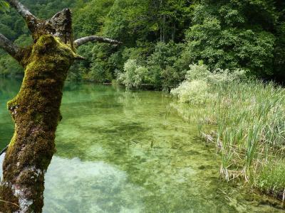 The Plitvice Lakes