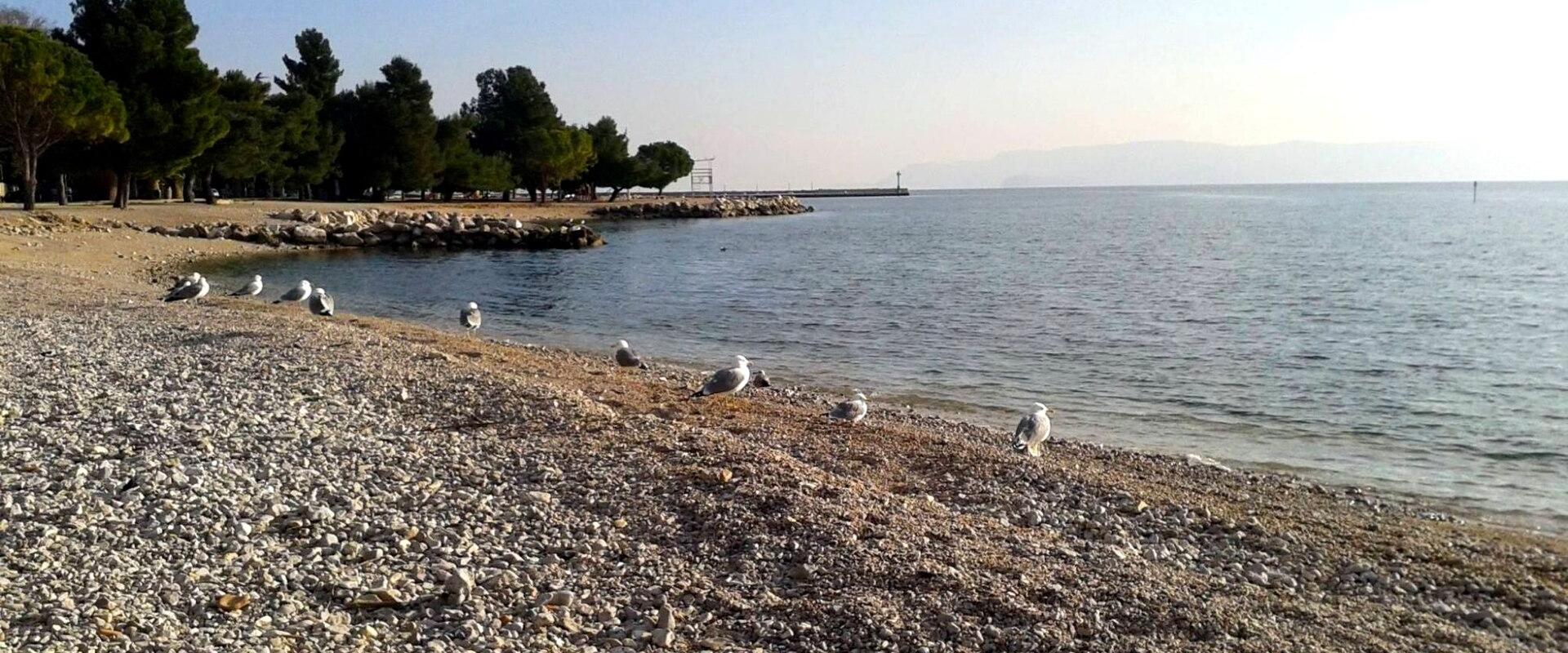 Crikvenica