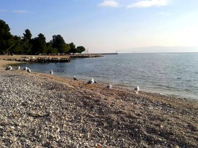 Crikvenica