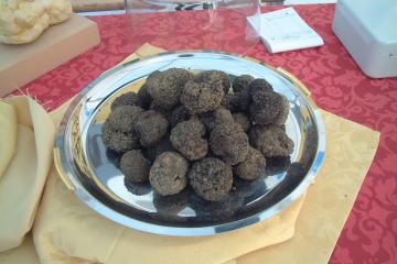 Truffles black Croatia
