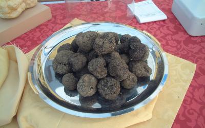 Truffles black Croatia