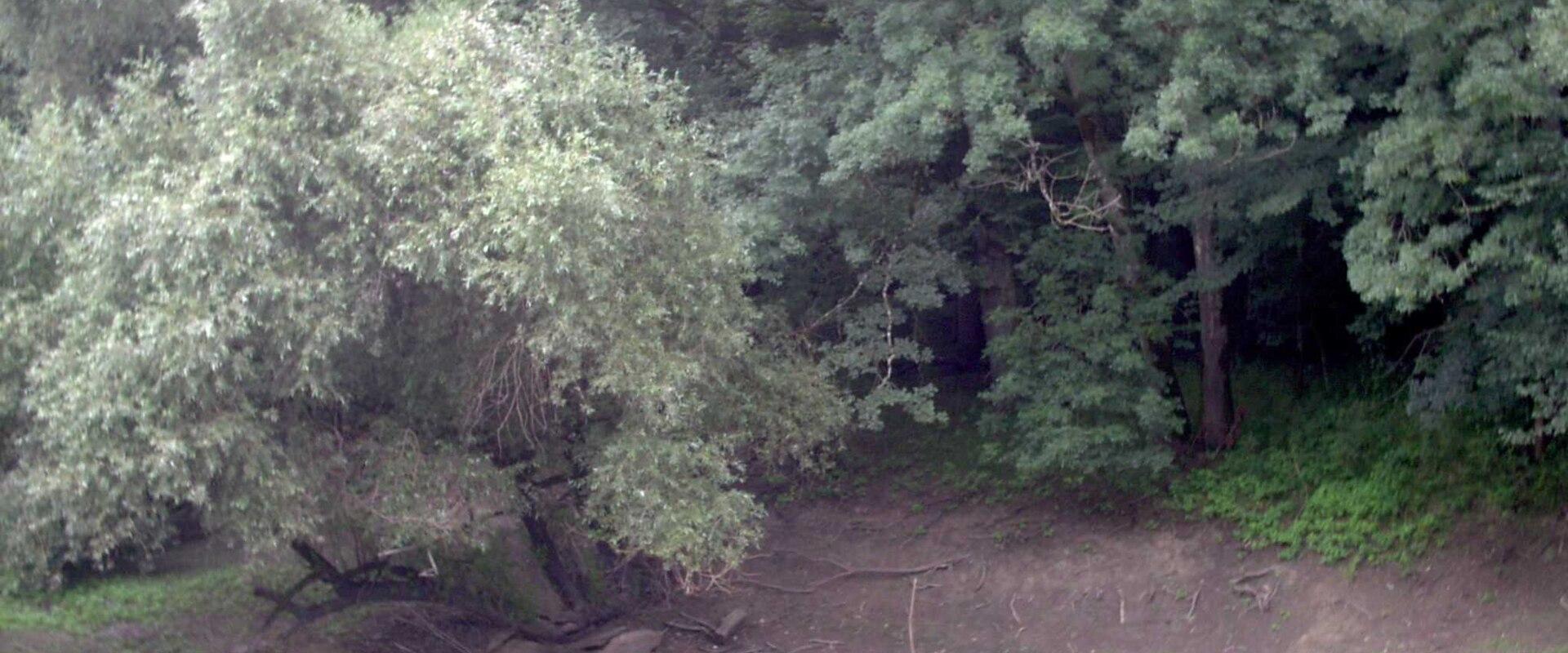 Lonjsko Polje National Park
