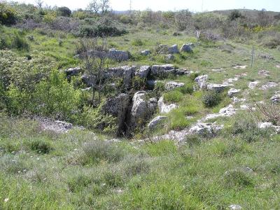 Monkodonja (13)