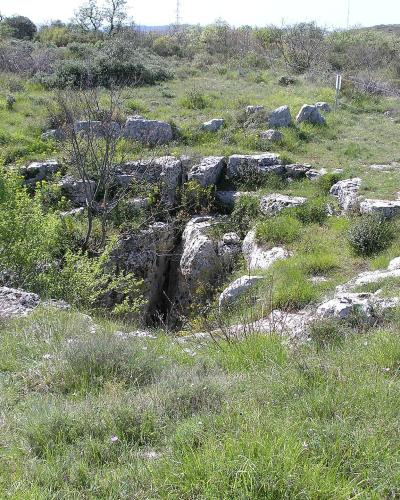 Monkodonja (13)