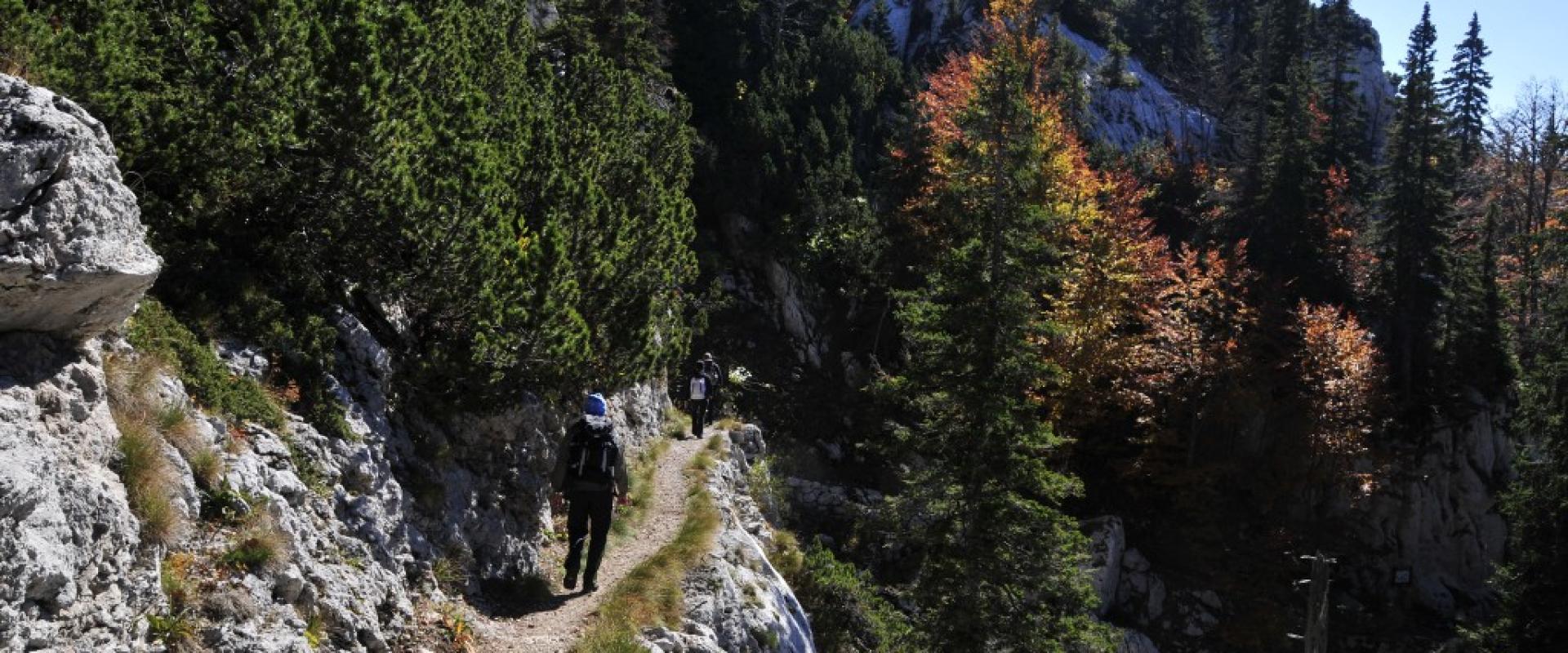 Premuzic Trail