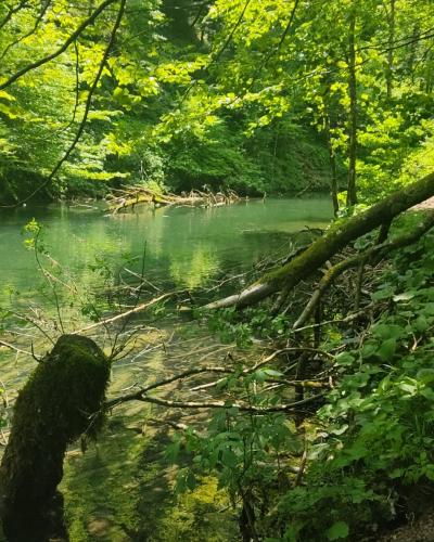 Kamačnik1
