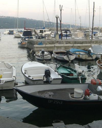 A harbor scene showing numerous small boats and yachts moored in calm water, with a stone quay in the foreground and a hillside town in the background.