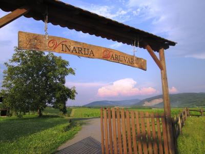 Daruvar vinarija