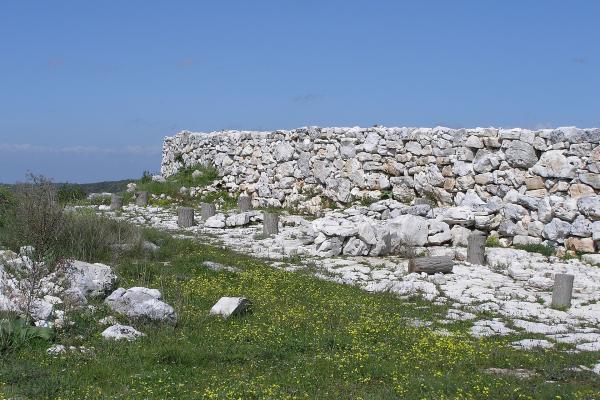 Monkodonja