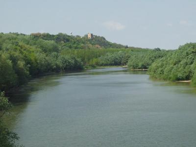 A wide river flows through a lush green landscape with dense trees lining the banks, and a hilltop featuring a stone tower or castle ruin is visible in the distance under a pale sky.