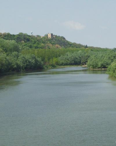 A wide river flows through a lush green landscape with dense trees lining the banks, and a hilltop featuring a stone tower or castle ruin is visible in the distance under a pale sky.
