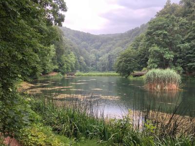 A calm body of water surrounded by dense green forest and reeds, with wooden walkways or bridges visible on the far bank.
