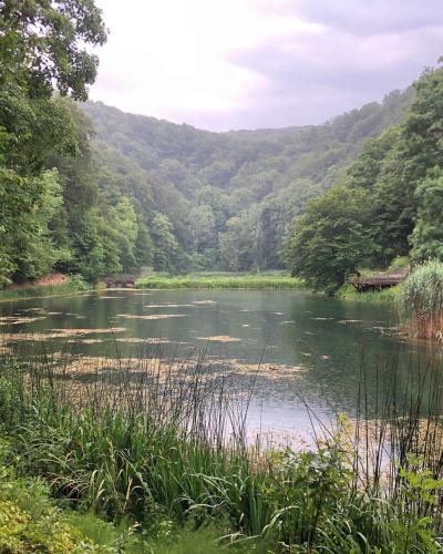 A calm body of water surrounded by dense green forest and reeds, with wooden walkways or bridges visible on the far bank.