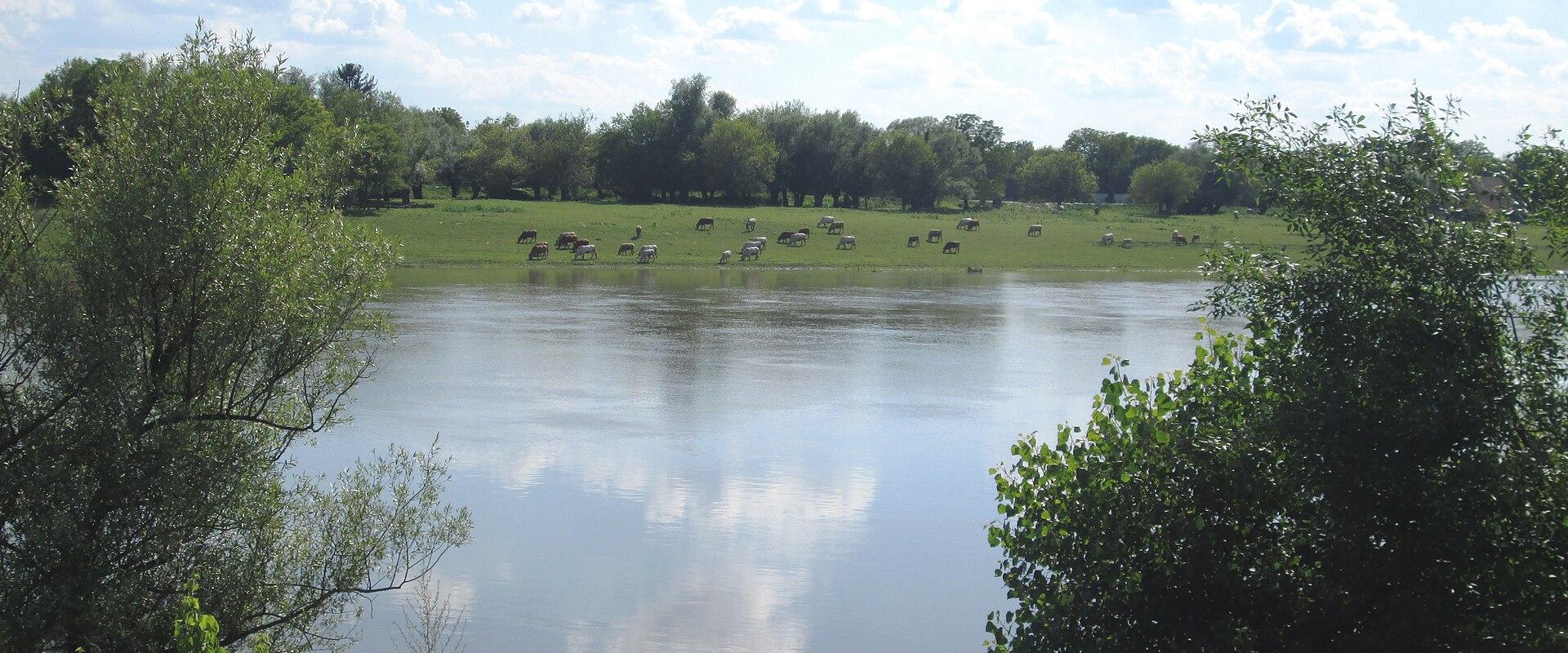 Sava Meadows