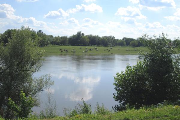 Sava Meadows