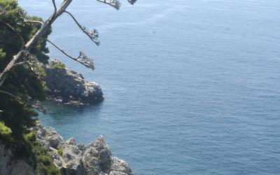 Dubrovnik, Croatia - panoramio (15)
