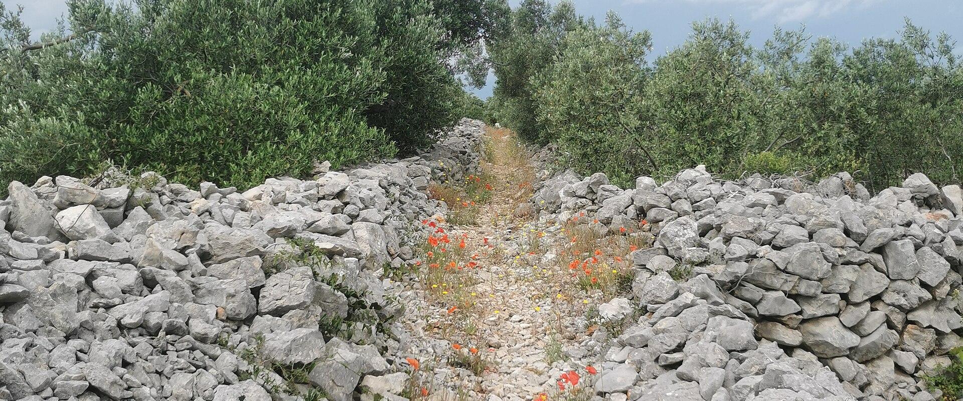 Ancient Greek Stone Wall (Agroter)